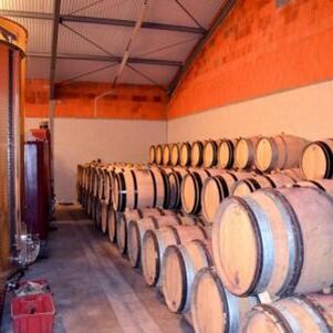 Domaine Masse Père et Fils 02