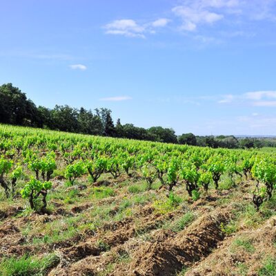 Domaine des Amadieu 02