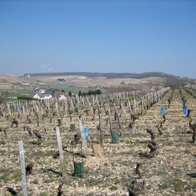 Domaine Gérard Boulay 02