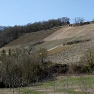 Domaine Gérard Boulay 01