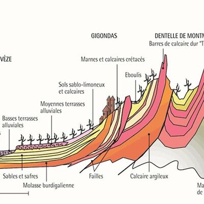 Gigondas