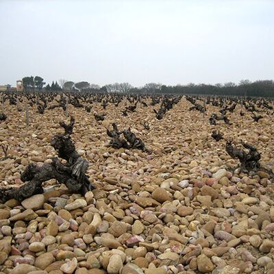 Domaine Grand Veneur 01
