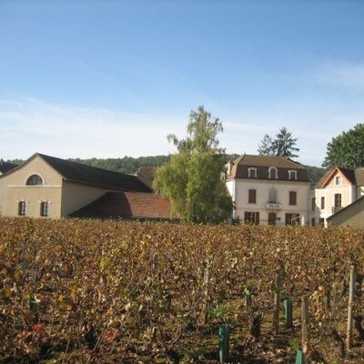 Domaine Louis Boillot 01