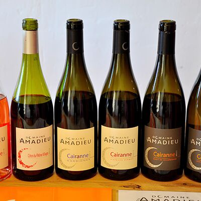 Domaine des Amadieu 04